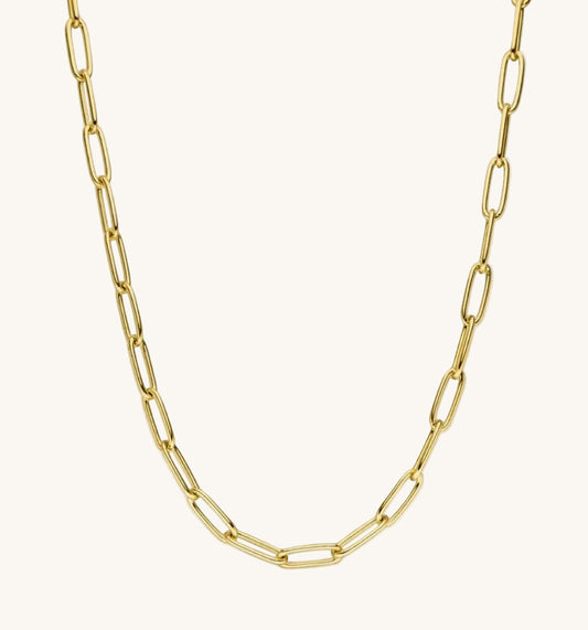 Popular Necklace